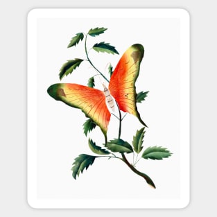 Rose Bush and Butterfly (1817–1907) Sticker